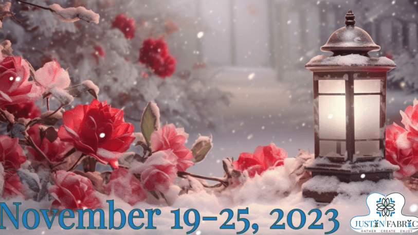 November 19-November 25, 2023 - Justin Fabric