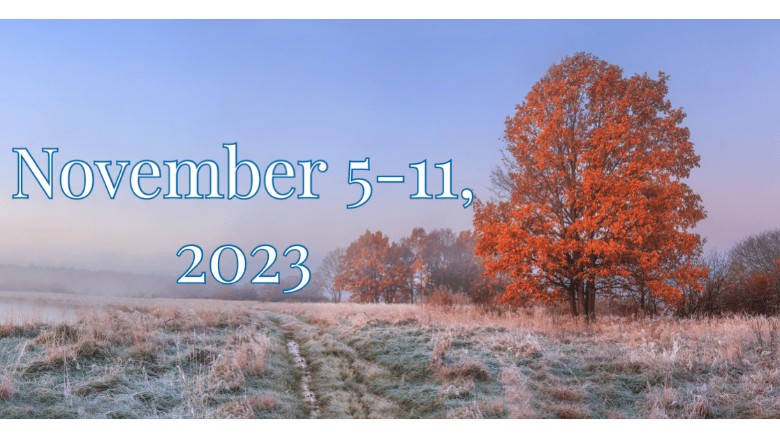 November 5th - November 11th  2023 - Justin Fabric