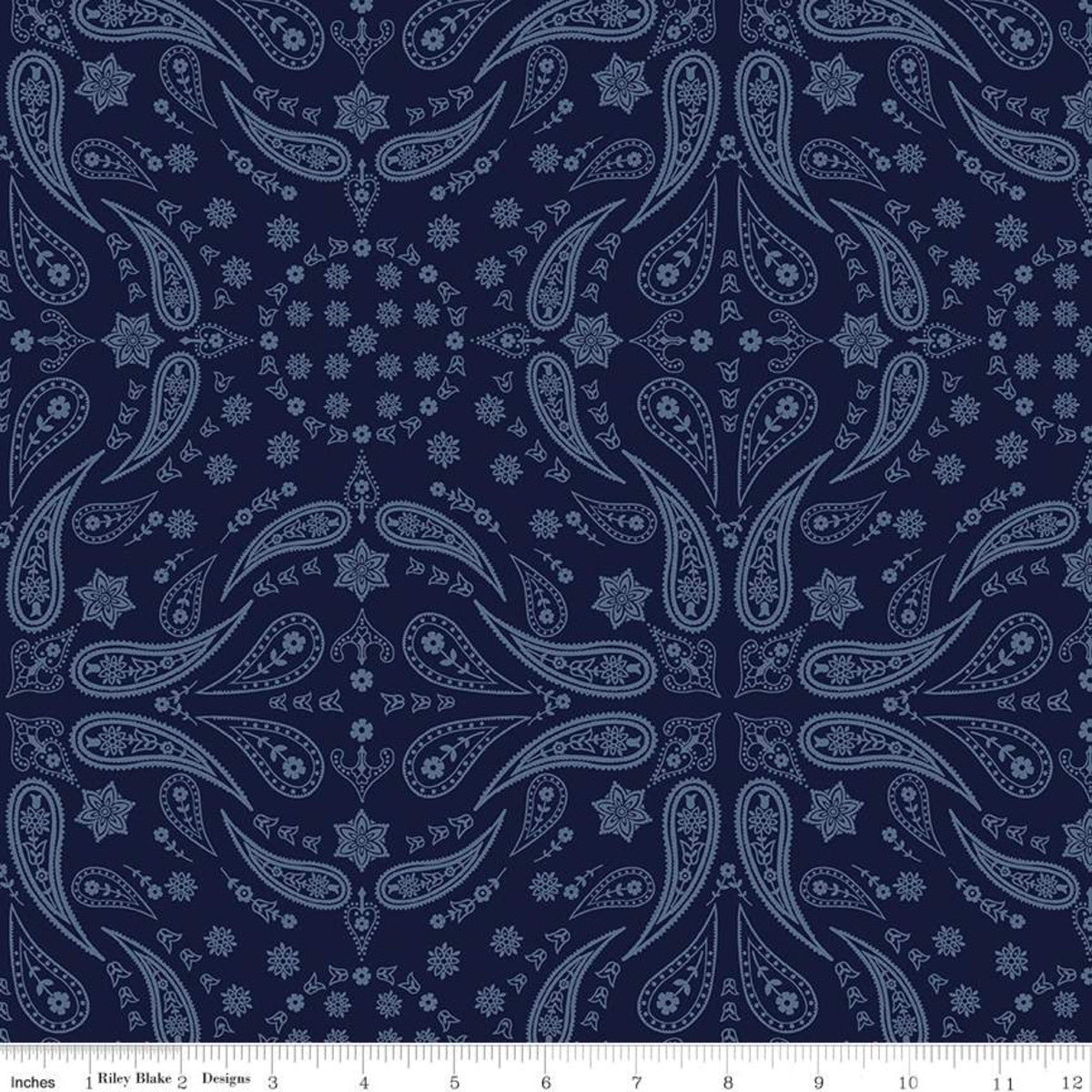 Back of the Chutes Bandana Navy Yardage by Hugh Cabot | Riley Blake Designs #C10132-NAVY