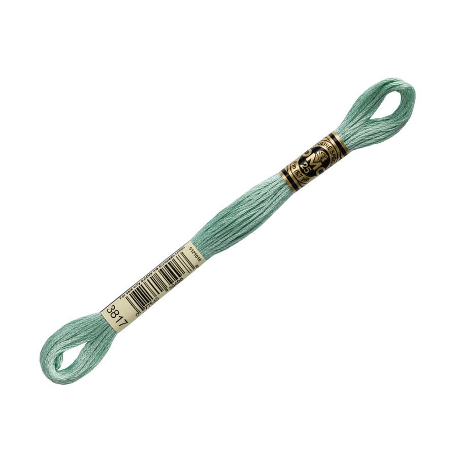 DMC 3817 Light Celadon Green 6 Strand Embroidery Floss | DMC