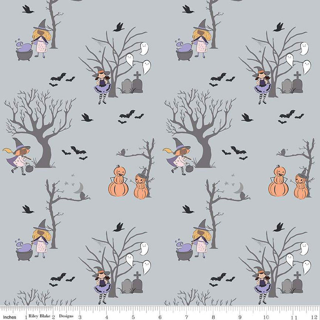Spooky Schoolhouse Main Silver Yardage by Melissa Mortenson | Riley Blake Designs