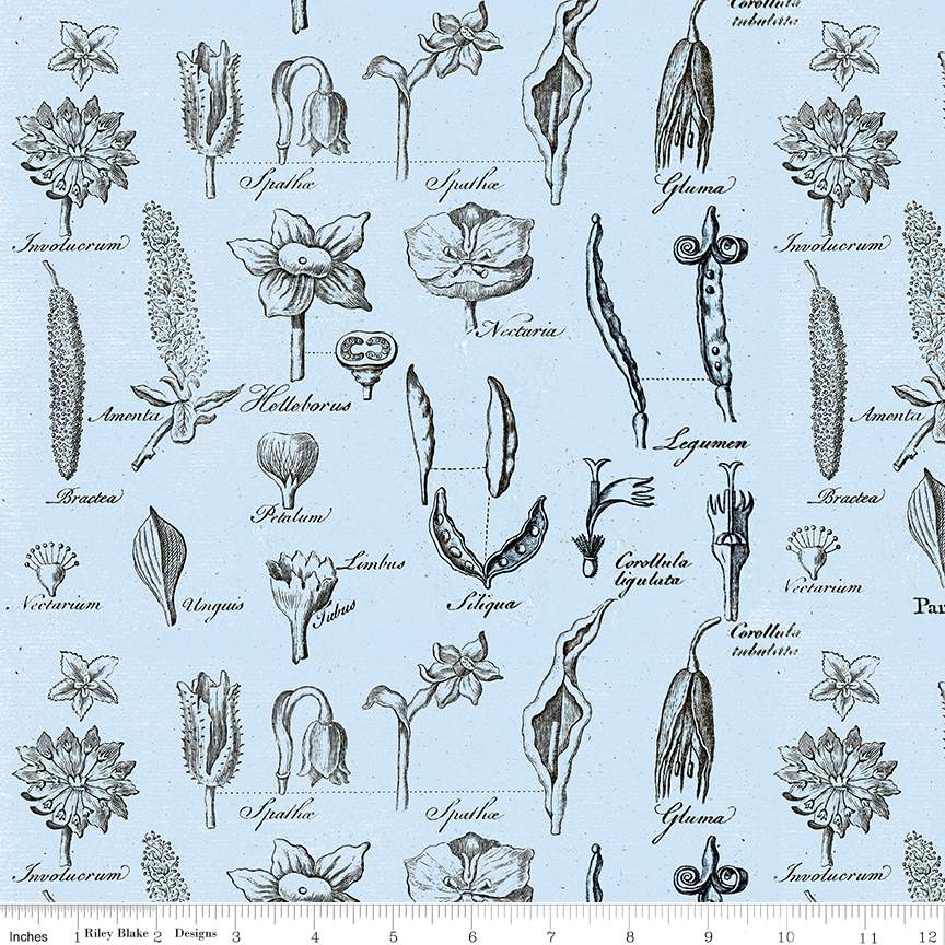 Art Journal Flower Study Blue fabric by J Wecker Frisch for Riley Blake Designs