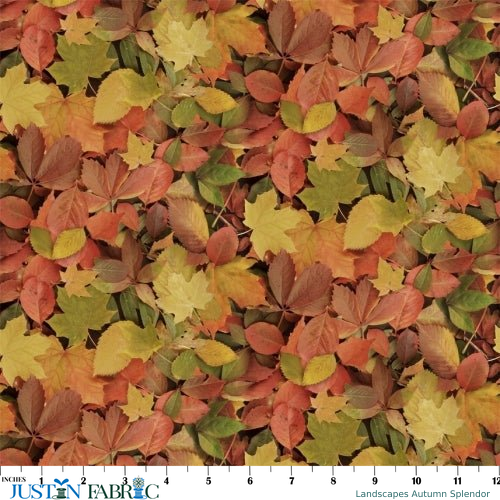 Ruler scale reference