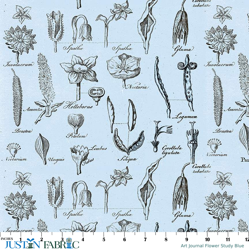 Ruler scale reference