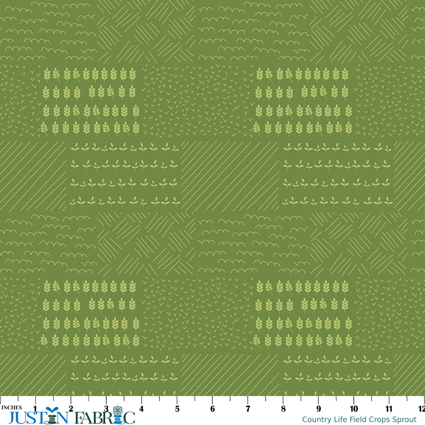 Ruler scale reference