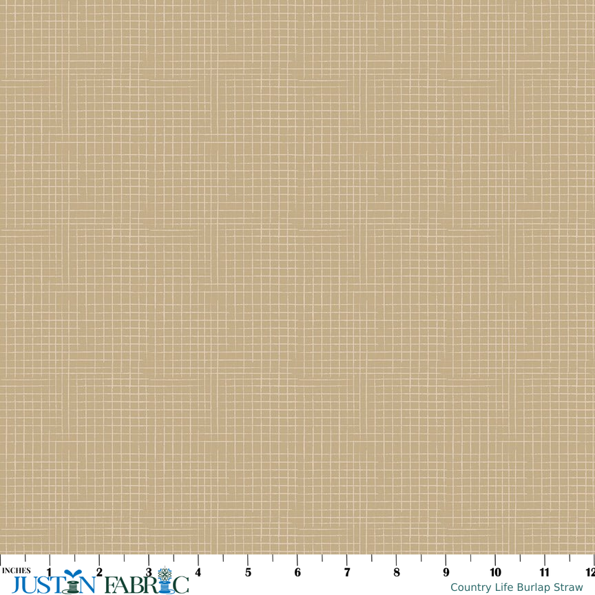 Ruler scale reference