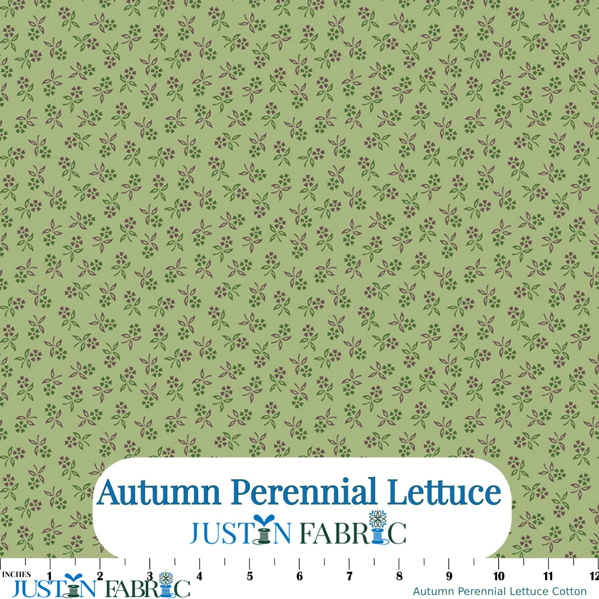 Ruler scale reference