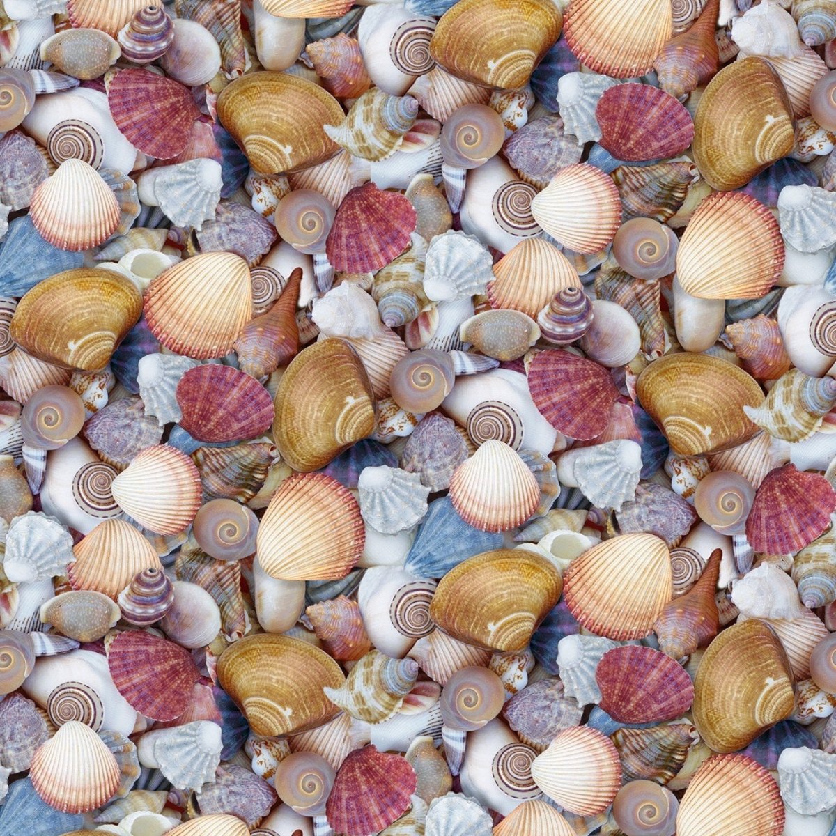 Landscapes Shellabrate Multi Yardage| SKU: 52117D-X -52117D-X - Justin Fabric!