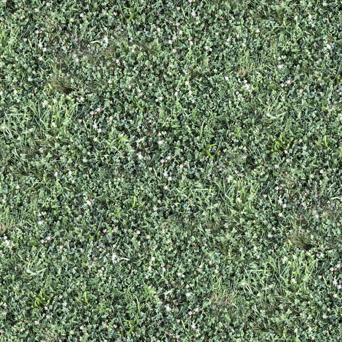 Landscapes Splendor In The Grass Multi Yardage| SKU: 52118D-X -52118D-X - Justin Fabric!