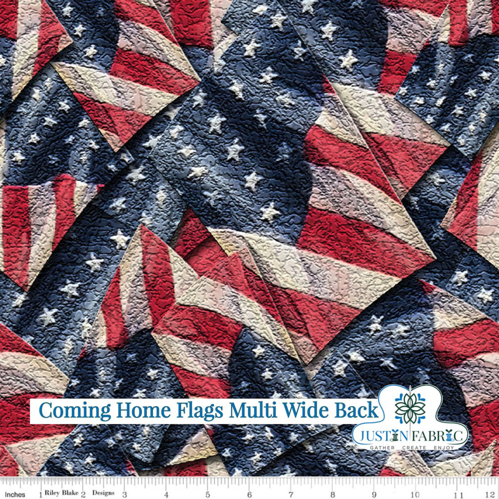 Coming Home Flags Multi Wide Back by Vicki Gifford| Riley Blake Designs, SKU: WB14434-MULTI Pre-Order (January 2024) -WB14434-MULTI - Justin Fabric!