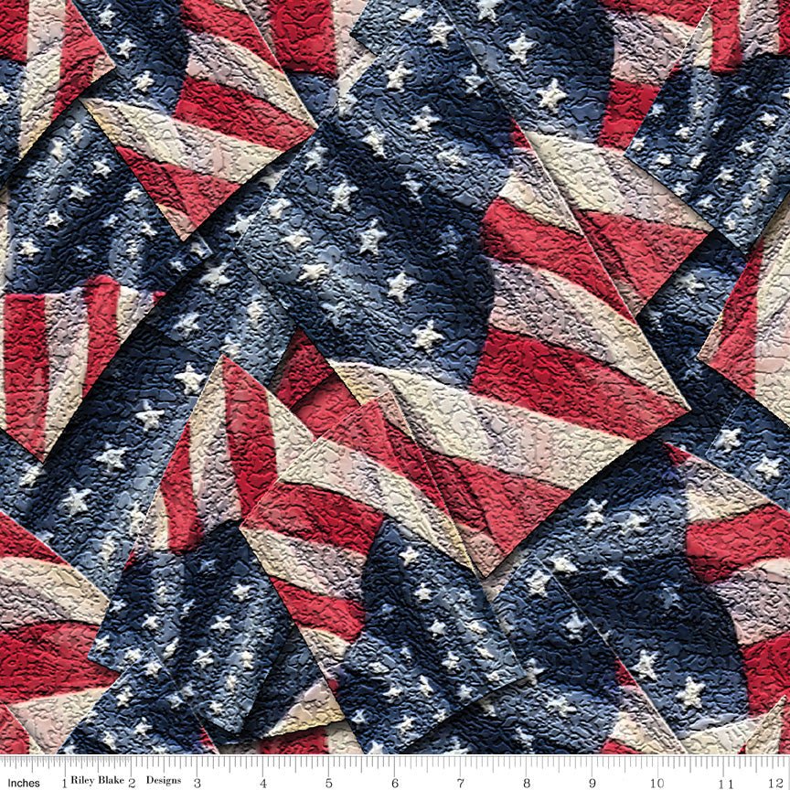 Coming Home Flags Multi Wide Back by Vicki Gifford| Riley Blake Designs, SKU: WB14434-MULTI Pre-Order (January 2024) -WB14434-MULTI - Justin Fabric!