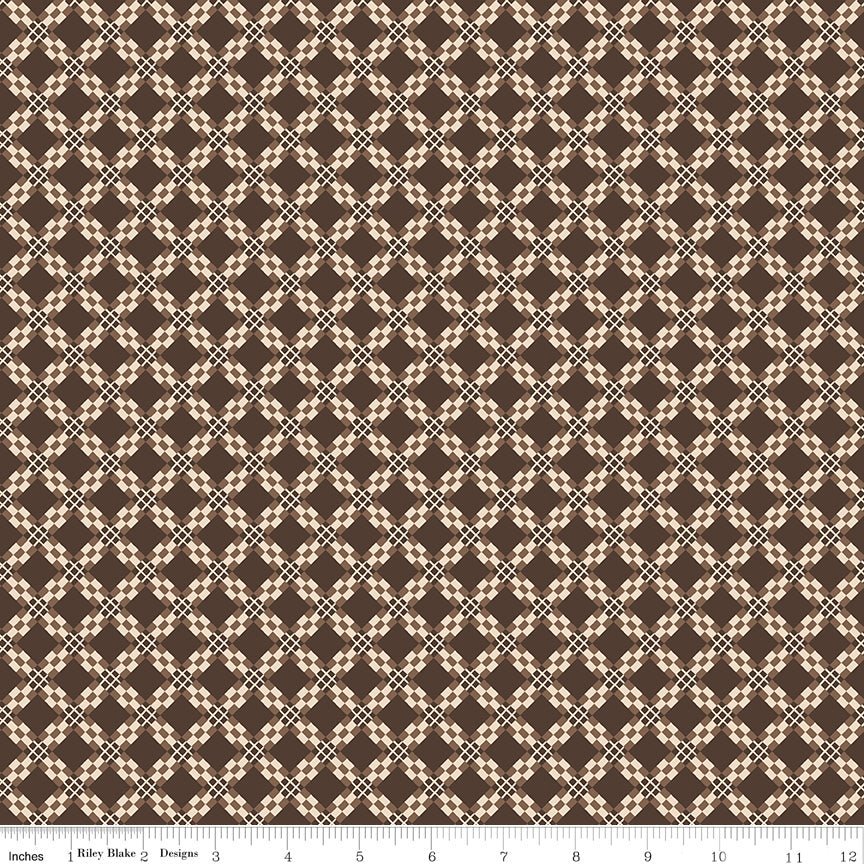 Pride & Prejudice Mr. Darcy for Riley Blake Designs -C13775-MRDARCY-1 - Justin Fabric!