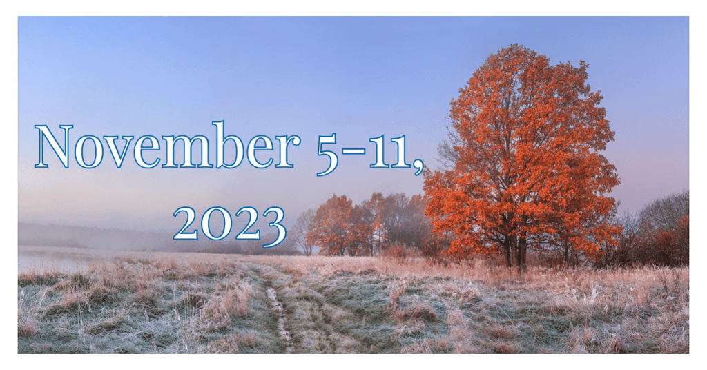 November 5th - November 11th  2023 - Justin Fabric