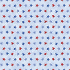 Faith, Family, Freedom Stars of Freedom Light Blue Patriotic Yardage by Nicole DeCamp | Benartex