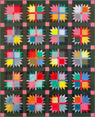 Ruby & Bee Solids Frolic Quilt Kit by Heather Ross | Windham