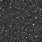 Luminosity Black Sparkle 8 Inch repeat 118" Wide Back Yardage | Blank Quilting
