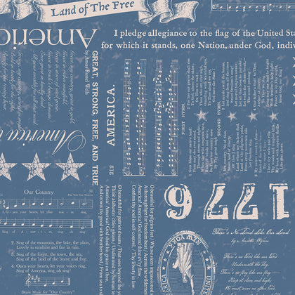 Americana Liberty Denim Yardage by Lori Holt | Riley Blake Designs