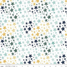 It's A Boy Stars White Flannel End of Bolt by Echo Park Paper Co | Riley Blake Designs