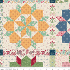 Family Reunion Home Dec Grandma's Star Multi