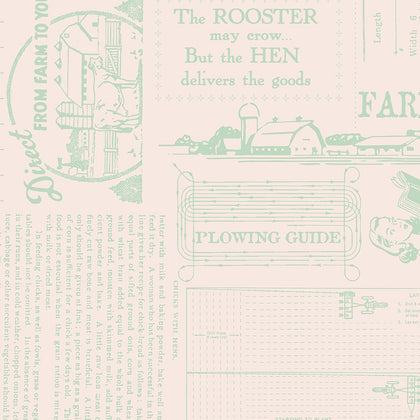 Farmer's Daughter Farm Life Sage Wide Back Yardage by Lori Holt | Riley Blake Designs