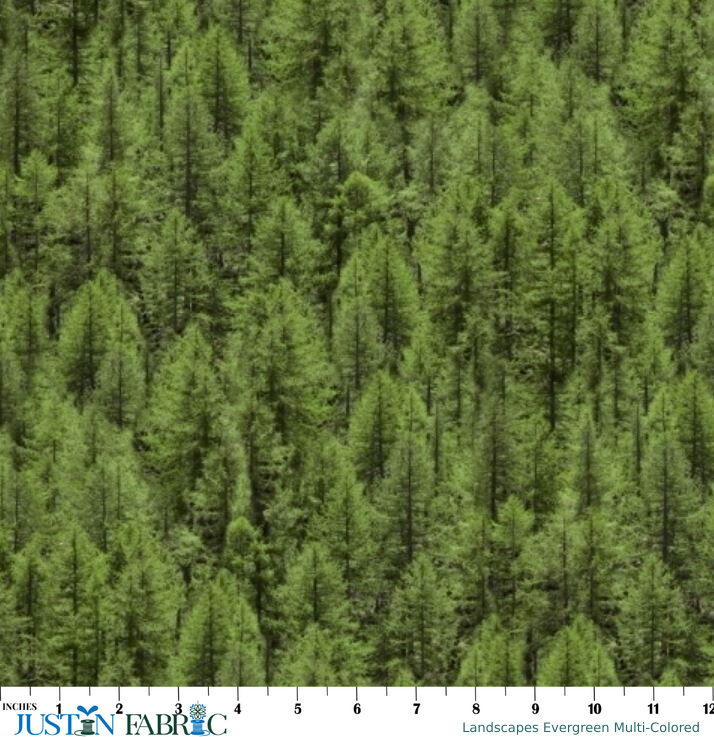 Ruler scale reference