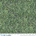 Ruler scale reference