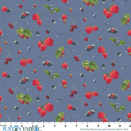 Monthly Placemats June Denim Berry Toss Yardage by Tara Reed | Riley Blake Designs