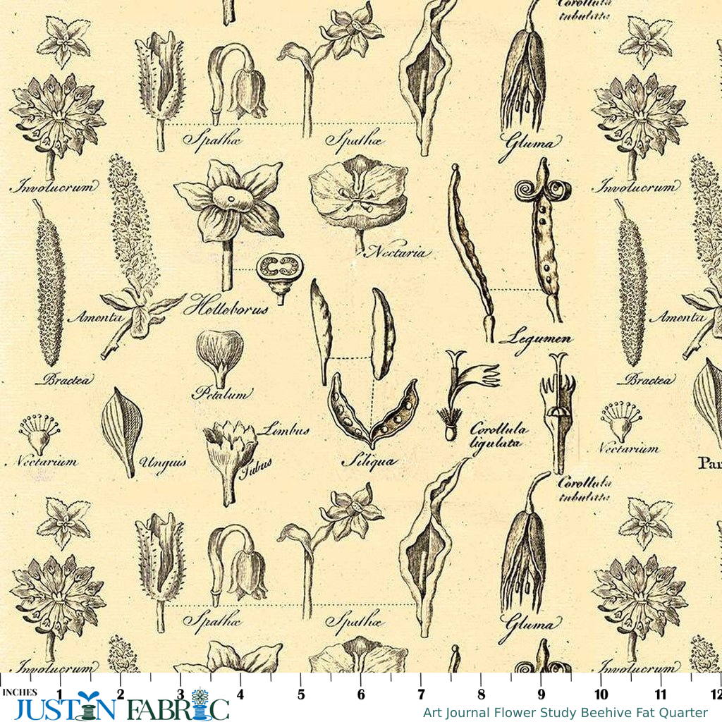 Ruler scale reference