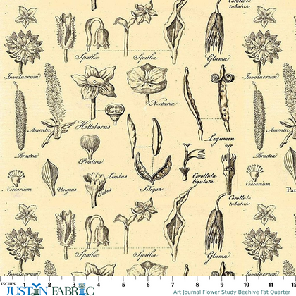 Art Journal Flower Study Beehive Fat Quarter by J. Wecker Frisch | Riley Blake Designs