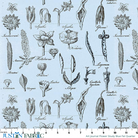 Ruler scale reference