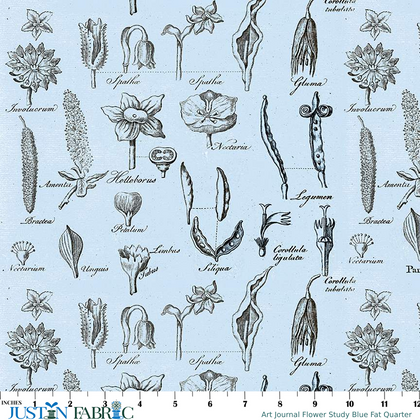 Art Journal Flower Study Blue Fat Quarter by J. Wecker Frisch | Riley Blake Designs