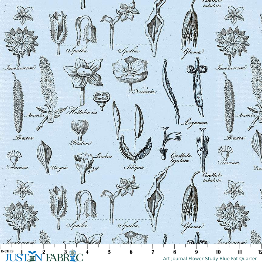 Ruler scale reference
