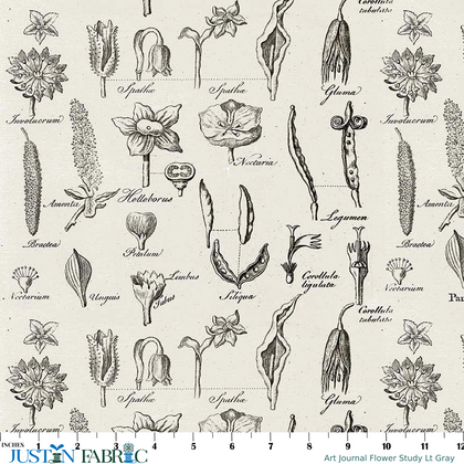 Art Journal Flower Study Lt Gray Yardage by J. Wecker Frisch | Riley Blake Designs