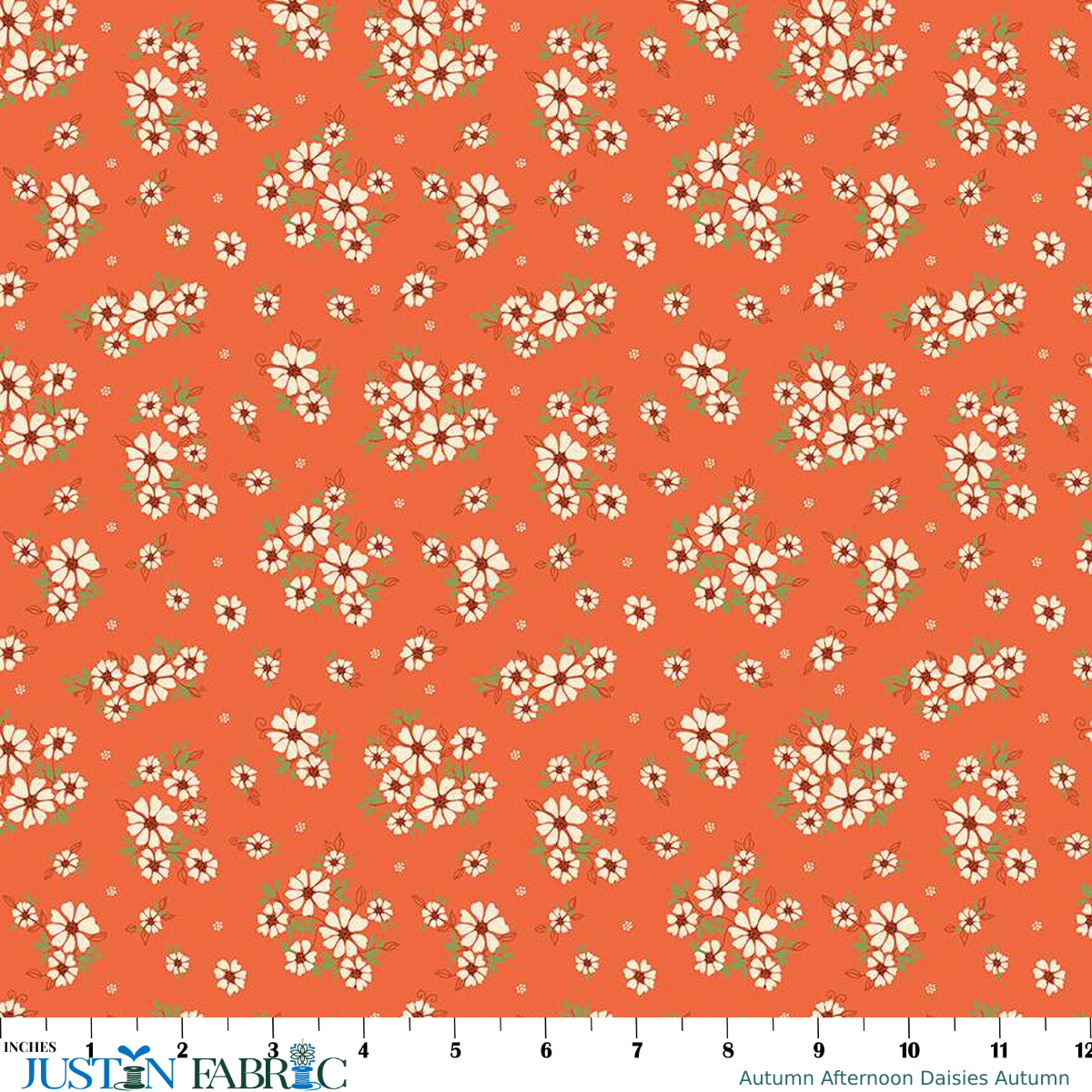 Ruler scale reference