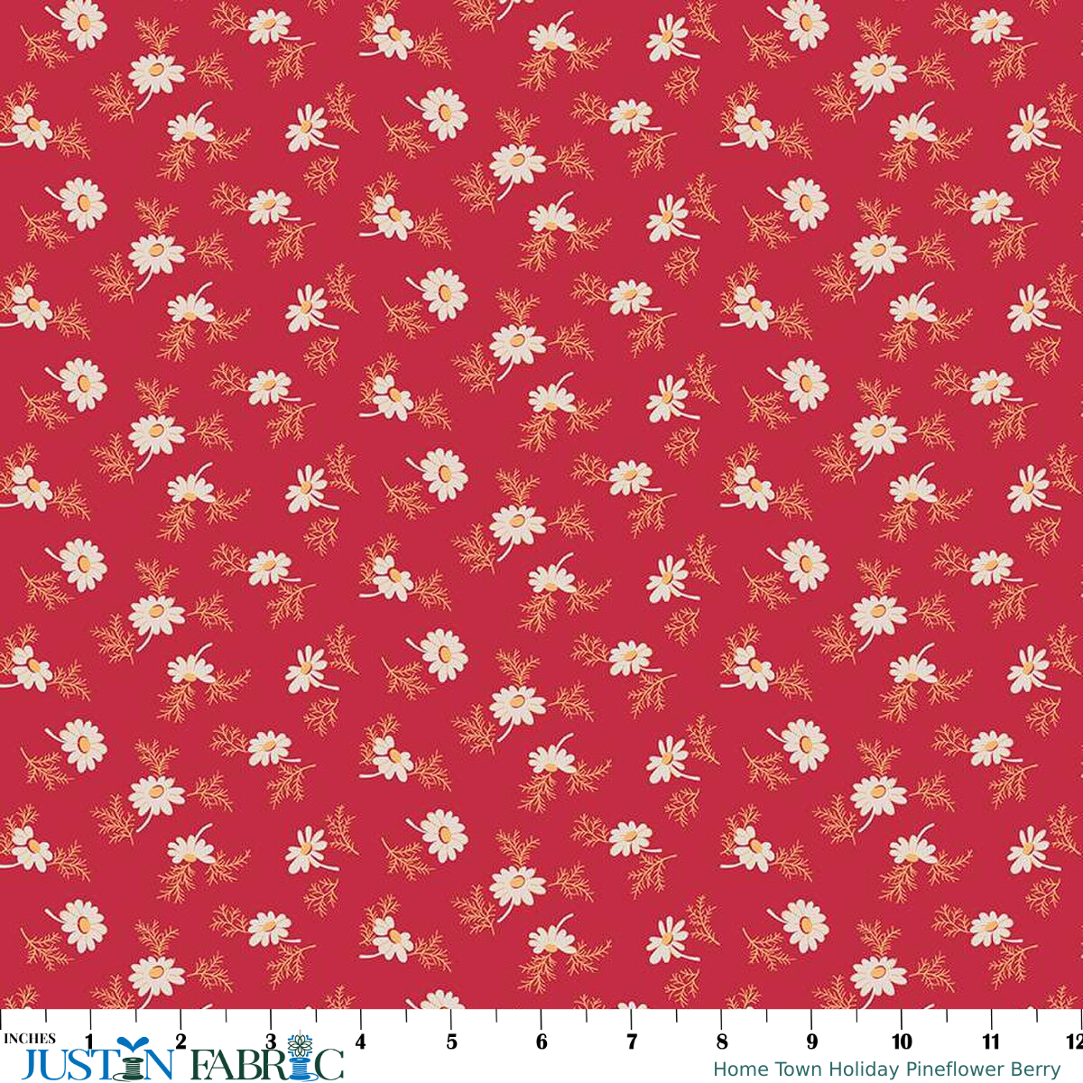 Ruler scale reference