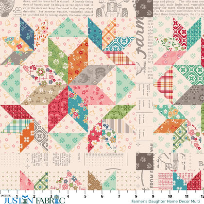 Farmer's Daughter Home Decor Multi Yardage by Lori Holt | Riley Blake Designs