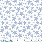 Ruler scale reference