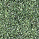 Landscapes Splendor In The Grass Multi Yardage| SKU: 52118D-X -52118D-X - Justin Fabric!
